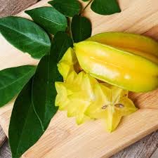 Rahaman Enterprice Sweet Star fruit original grafted plant/green tree " Sweet Kamrak/Star Fruit/Carambola Tree Plant Hybrid Grafted (1Plant & 1.5-2 Ft) Home And Roof Garden Fruit Tree & Plants