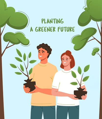 YOTOVA XC High Yield Hybrid All Seasons Guava Fruit Tree Live Plant for Home Kitchen Terrace Garden Amrood Ka Podha Amrud Phal Ka Paudha Outdoor