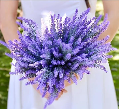 Live Wonderful All Season Purple Lavender Flower Tree Healthy Live Plant For Home Garden Outdoor Indoor plant in Black Pot