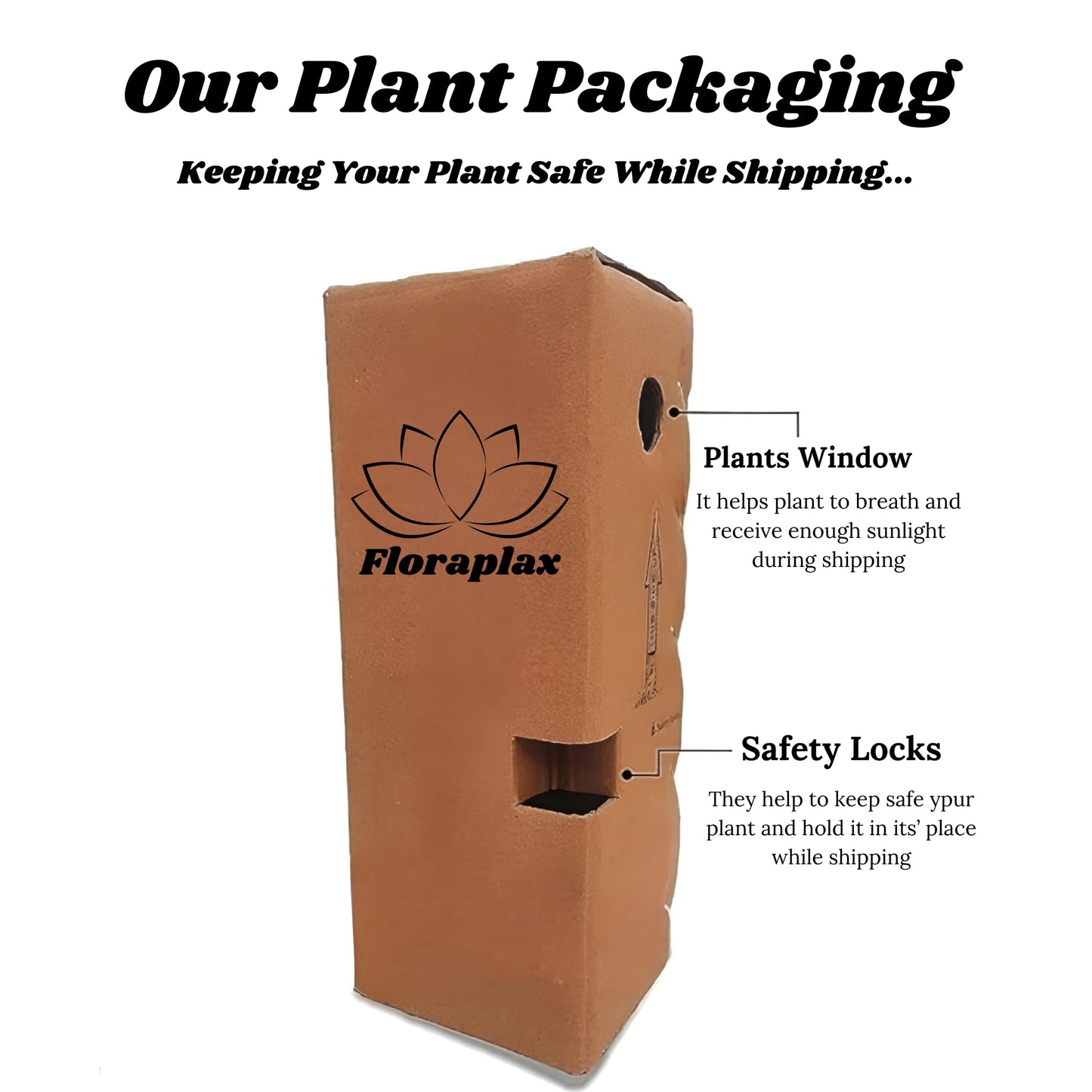 Live Wonderful All Season Purple Lavender Flower Tree Healthy Live Plant For Home Garden Outdoor Indoor plant in Black Pot